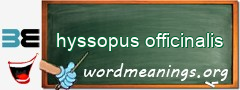 WordMeaning blackboard for hyssopus officinalis